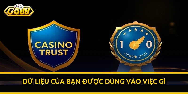 Dữ liệu của bạn được dùng vào việc gì