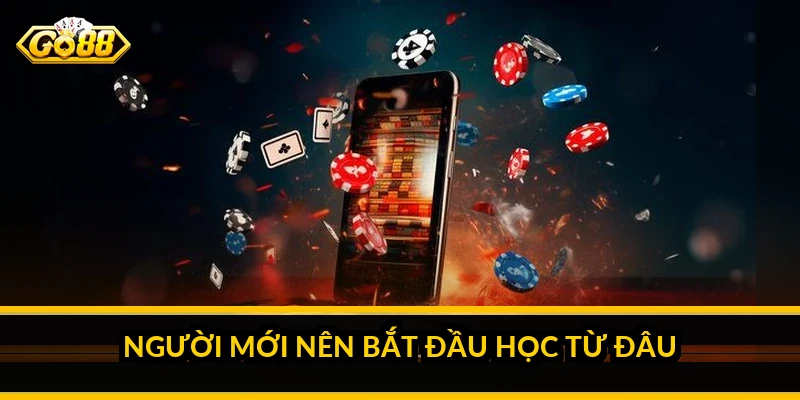 Người mới nên bắt đầu học từ đâu